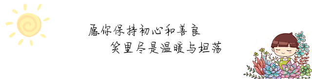 玫瑰花多肉植物_多肉玫瑰系列哪些值得養(yǎng)_多肉玫瑰花