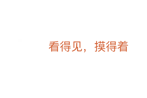 看得見，摸得著