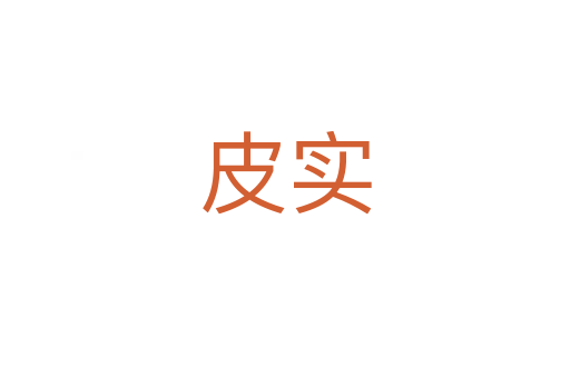 皮實(shí)