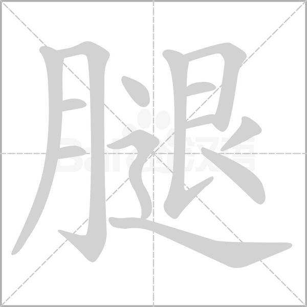 腿的筆順動(dòng)畫演示