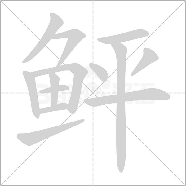 鲆的筆順動(dòng)畫演示
