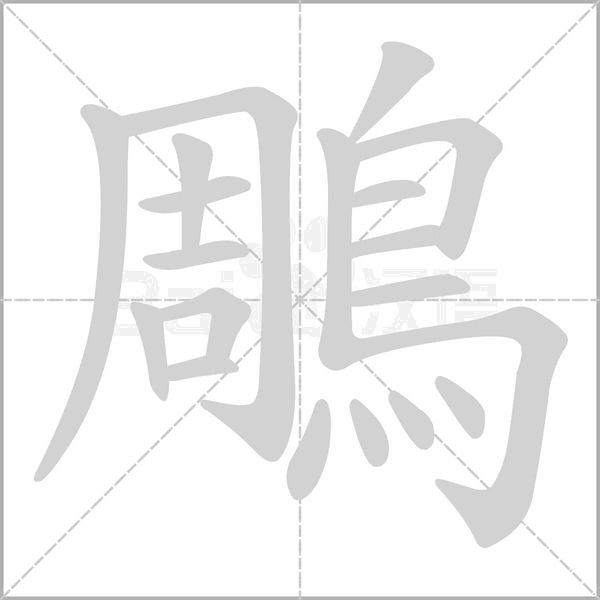 鵰的筆順動(dòng)畫演示